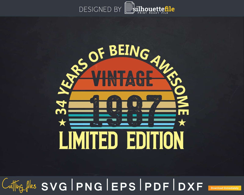 Vintage 1987 34th Birthday Limited Edition Svg T-shirt
