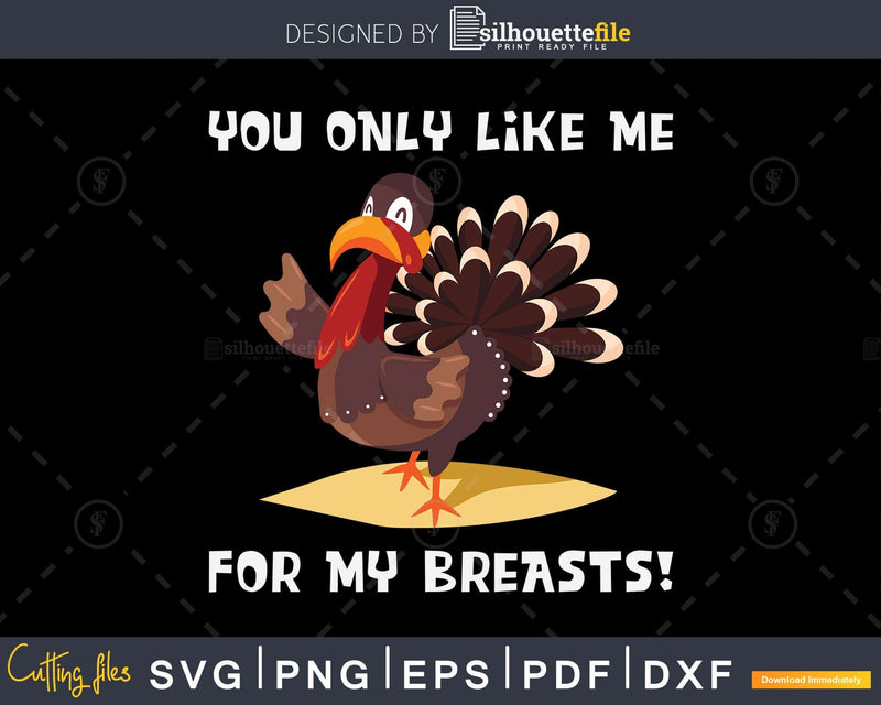 You only like me for my breasts svg cricut craft files